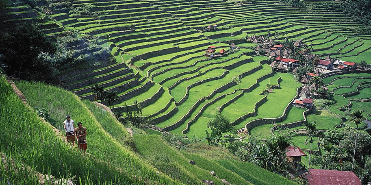 Philippines 1-min.webp